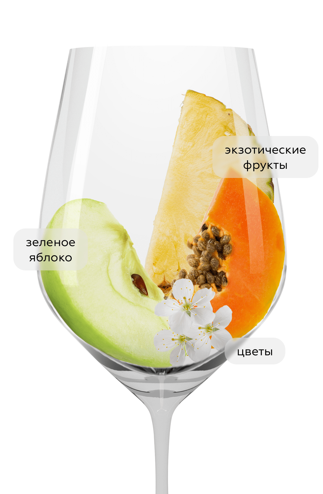 Вино El Ilusionista Verdejo, Bodegas Horacio Gomez Araujo, 2023, (147735), Испания, Кастилия и Леон, белое, сухое, 0.75 л, Руэда Вердехо Эль Илусиониста, цена 2990 рублей