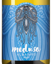 Вино Medusa Albarino, (136130), белое сухое, 2021 г., 0.75 л, Медуса Альбариньо цена 2640 рублей