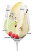 Bruni Prosecco Brut