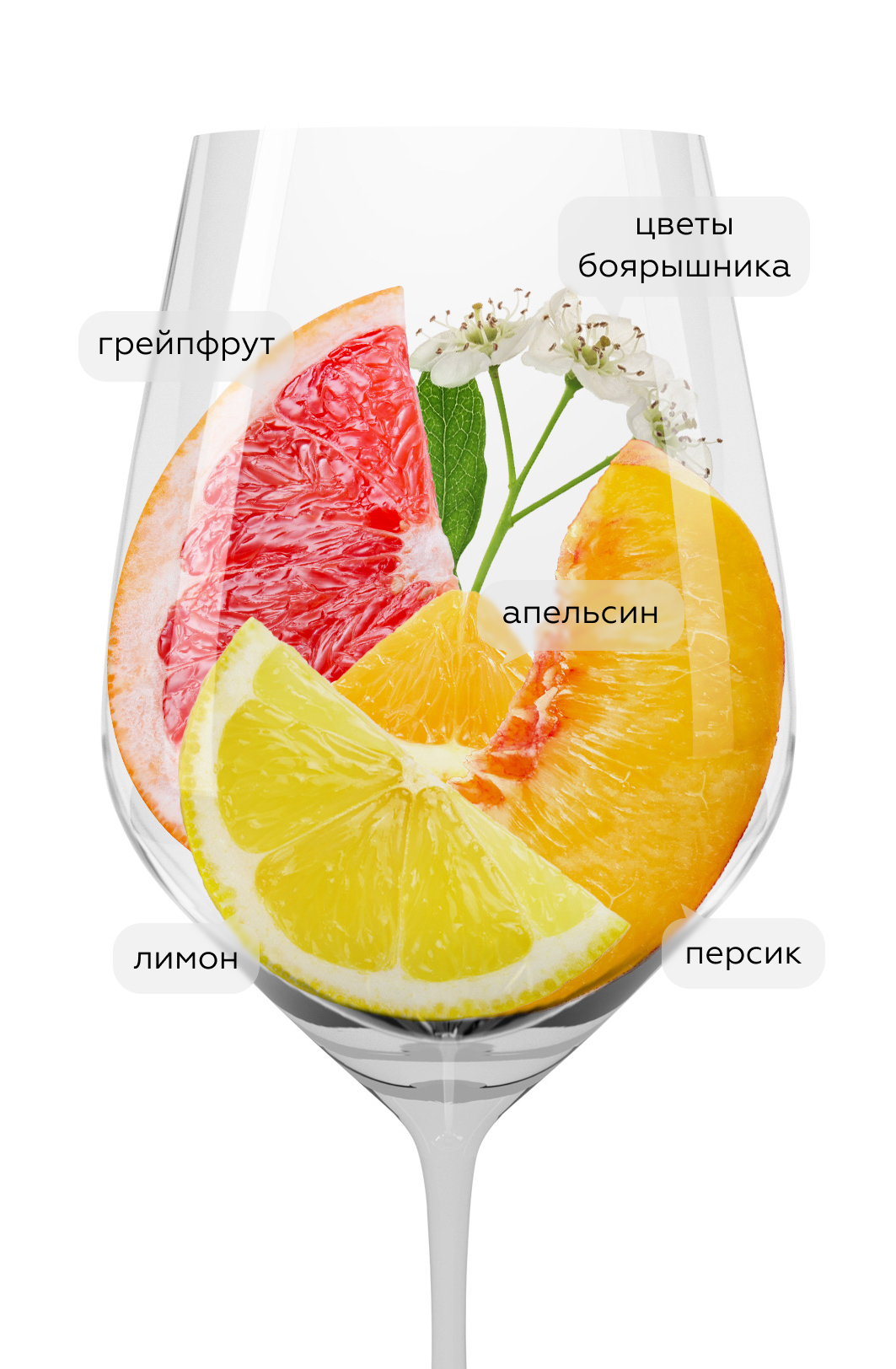 Вино Cortegaia, La Scolca, 2022, (143266), Италия, Пьемонт, белое, сухое, 0.75 л, Кортегайя, цена 2993 рублей