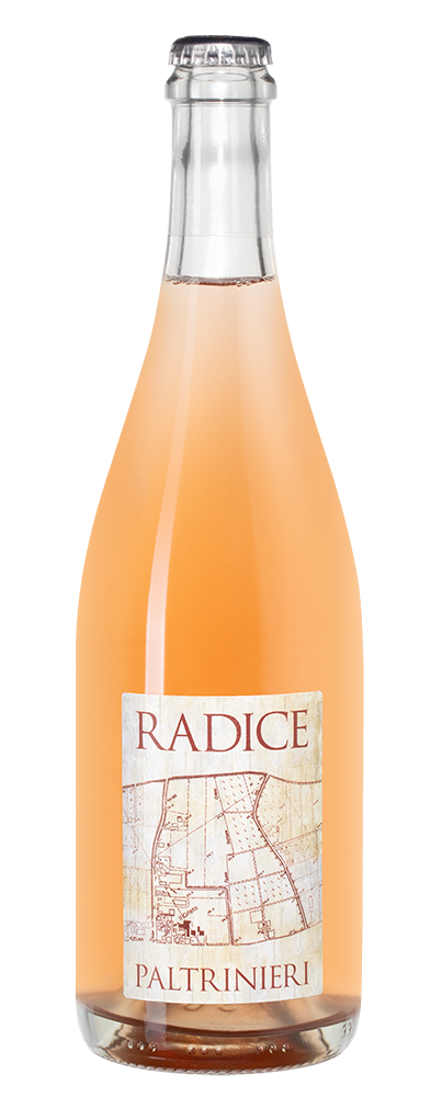 Шипучее вино Lambrusco di Sorbara Radice, Paltrinieri, 2022, (144672), Италия, Эмилия-Романья, красное, экстра брют, 0.75 л, Ламбруско ди Сорбара Радиче, цена 4990 рублей