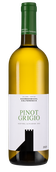 Вино Pinot Grigio