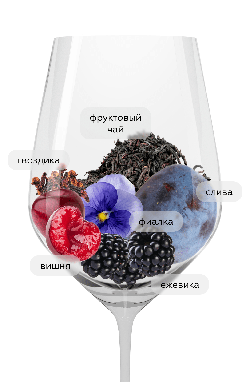 Вино Tenuta Regaleali Frappato, Tasca d'Almerita, 2022, (143652), Италия, Сицилия, красное, сухое, 0.75 л, Тенута Регалеали Фраппато, цена 4990 рублей