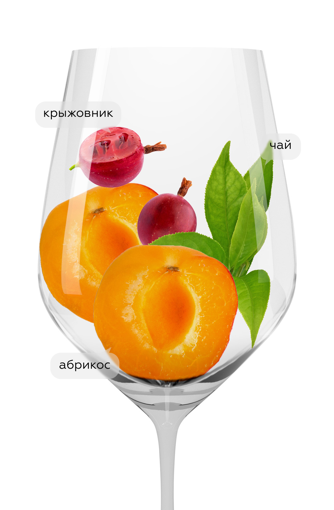 Вино Maribor, Vino Gross, 2022, (155244), Словения, Штайерска Словения, белое, сухое, 0.75 л, Марибор, цена 7290 рублей