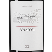 Вина категории Vino d’Italia Foradori