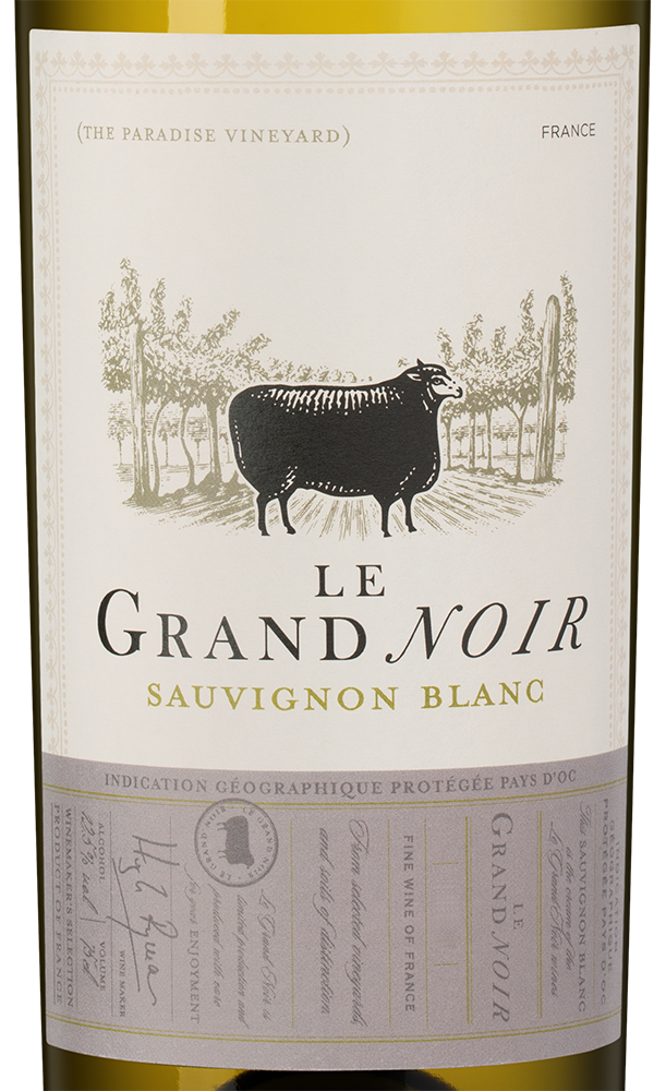 Вино Le Grand Noir Sauvignon Blanc, 2025, (160214), Франция, Лангедок-Руссильон, белое, сухое, 0.75 л, Ле Гран Нуар Совиньон Блан, цена 1990 рублей