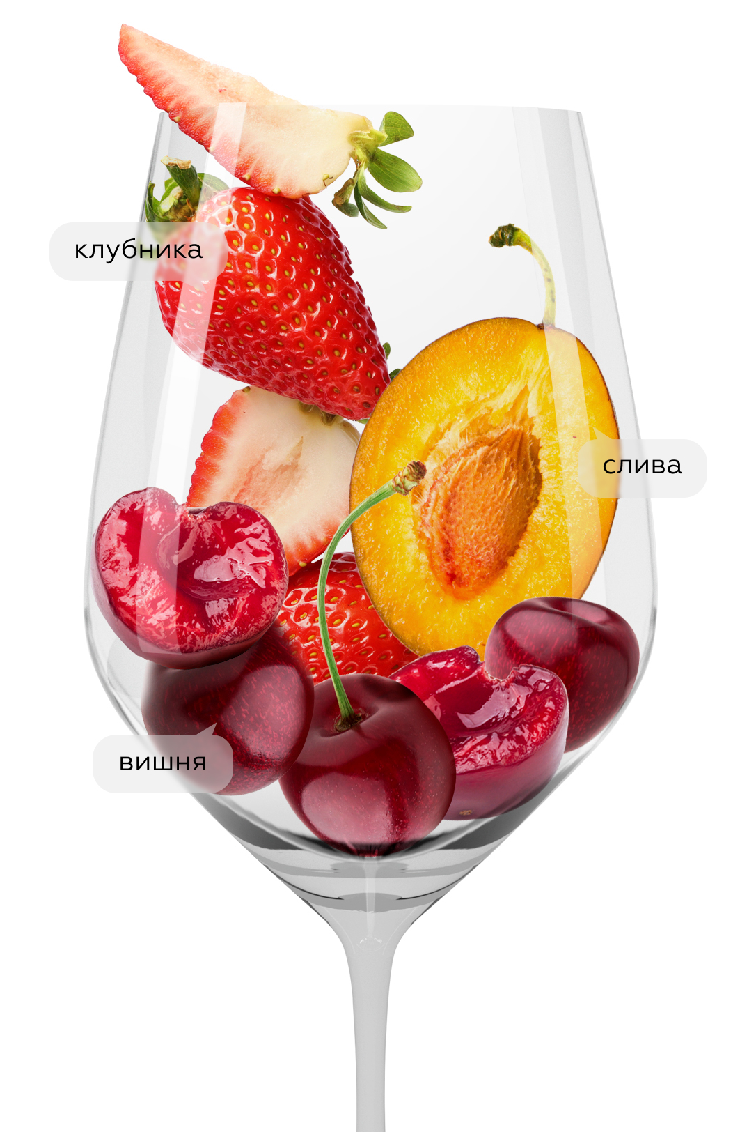 Вино Chateau des Graves Rouge (Graves), Vignobles Butler, 2017, (149688), Франция, Бордо, красное, сухое, 0.75 л, Шато де Грав Руж, цена 4790 рублей