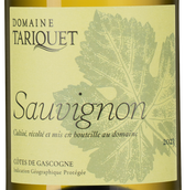 Вино с цитрусовым вкусом Sauvignon Blanc