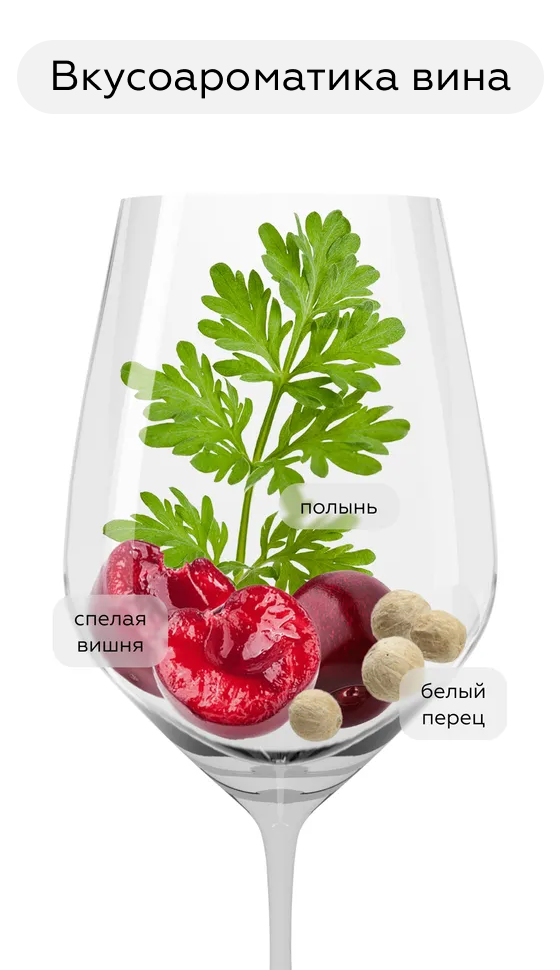 Вино Carolina Reserva Carmenere, Santa Carolina, 2021, (143973), Чили, Центральная Долина, красное, сухое, 0.75 л, Каролина Ресерва Карменер, цена 1192 рублей