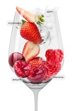 Вино Montebruna, (143665), красное сухое, 2020 г., 0.75 л, Монтебруна цена 5690 рублей