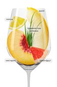 Sauvignon Blanc Sunbird