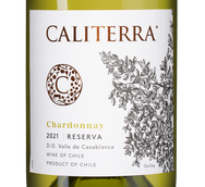 Чилийское белое вино Chardonnay Reserva
