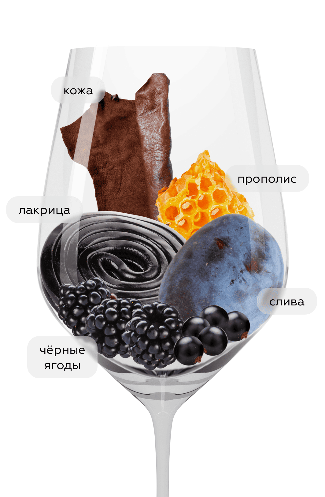 Вино Сира Амфора, Николаев и Сыновья, 2024, (160157), Россия, Кубань, красное, сухое, 0.75 л, Сира Амфора, цена 2640 рублей