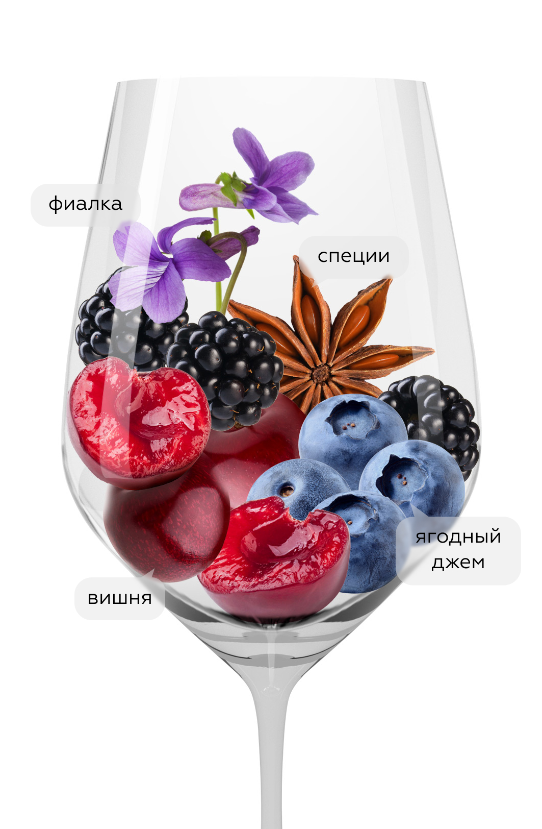 Вино Montepulciano d'Abruzzo Jorio, Umani Ronchi, 2021, (151302), Италия, Абруццо, красное, сухое, 0.75 л, Монтепульчано д'Абруццо Йорио, цена 3990 рублей