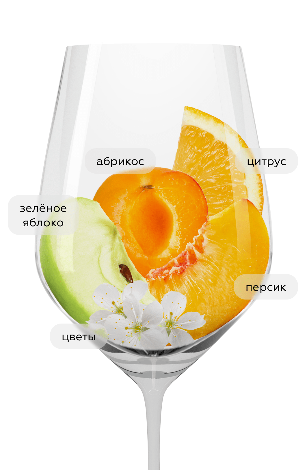 Вино Riesling Trocken, Clemens Busch, 2024, (156322), Германия, Мозель, белое, полусухое, 0.75 л, Рислинг Трокен, цена 5490 рублей