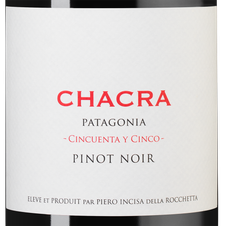 Вино Cincuenta y Cinco, (144673), красное сухое, 2022 г., 0.75 л, Синкуента и Синко цена 11990 рублей