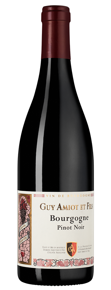 Вино Bourgogne Pinot Noir, Domaine Amiot Guy et Fils, 2023, (158477), Франция, Бургундия, красное, сухое, 0.75 л, Бургонь Пино Нуар, цена 9490 рублей