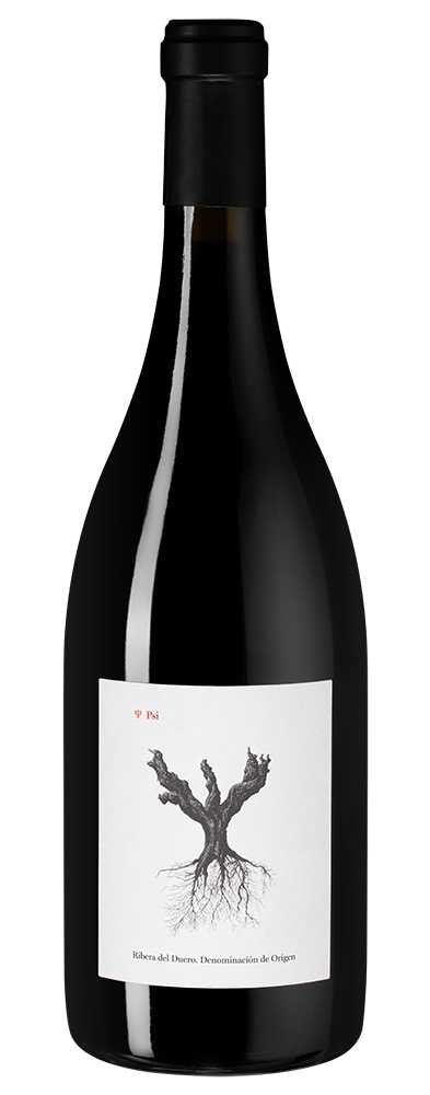 Вино PSI, Bodegas y Vinedos Alnardo, 2020, (142393), Испания, Кастилия и Леон, красное, сухое, 0.75 л, Пси, цена 7990 рублей