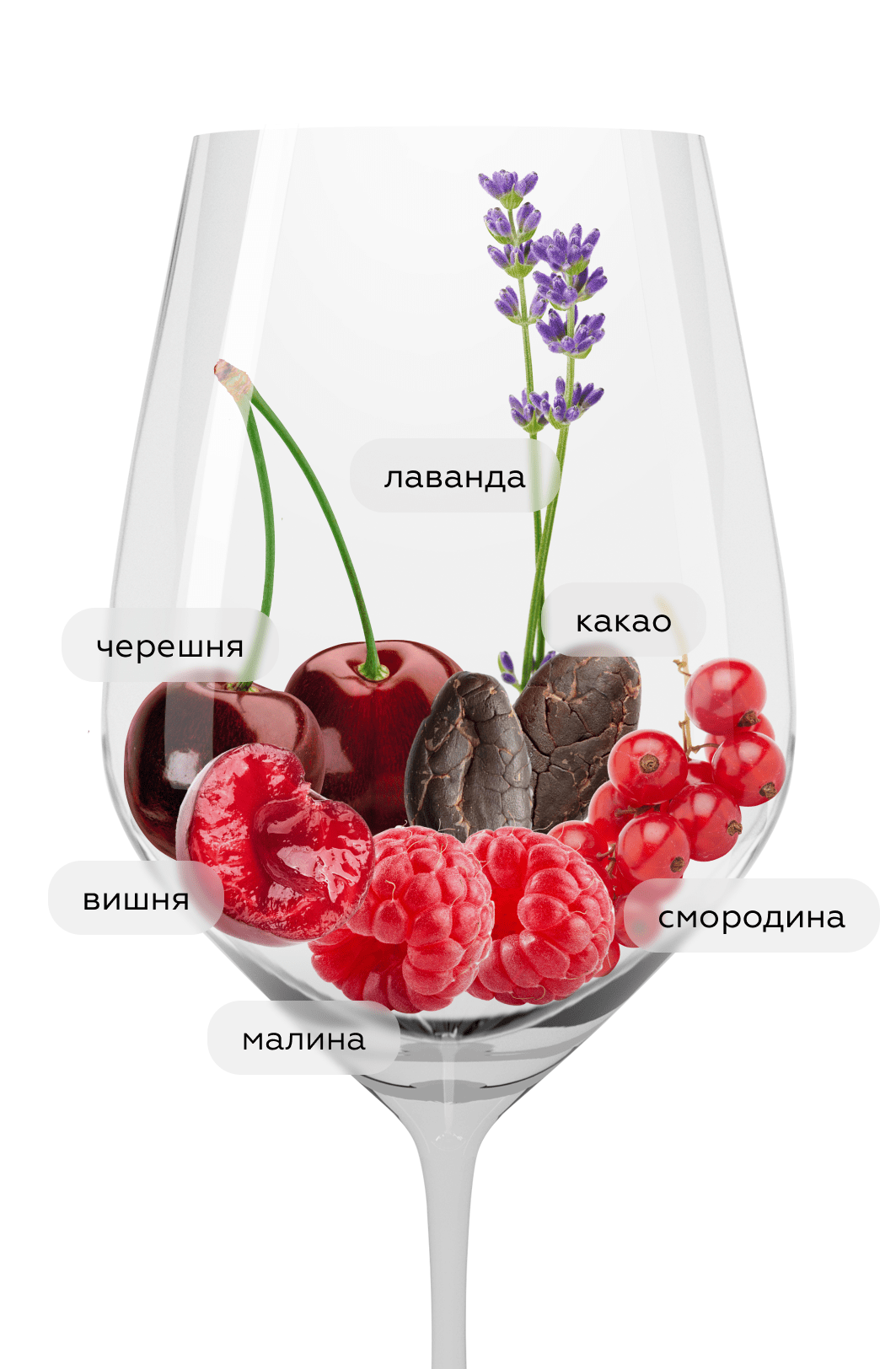 Вино Tenuta Calimaia Vino Nobile di Montepulciano, Frescobaldi, 2019, (143235), Италия, Тоскана, красное, сухое, 0.75 л, Тенута Калимайя Вино Нобиле ди Монтепульчано, цена 7990 рублей