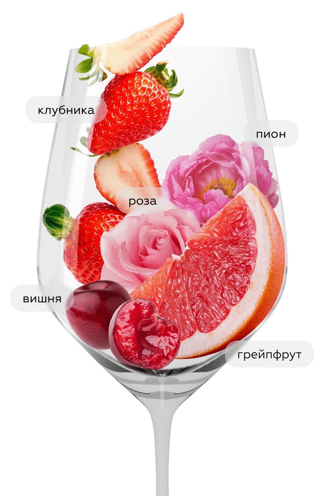 Игристое вино Soley Brut Rose, Salton, (154691), Бразилия, Рио Гранде ду Сул, розовое, брют, 0.75 л, Солей Брют Розе, цена 1640 рублей