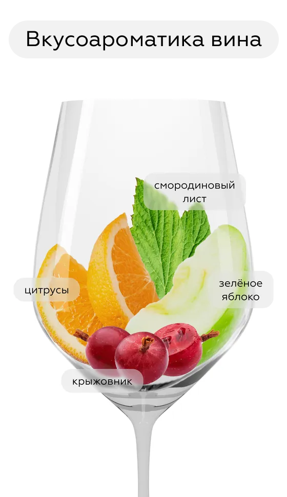 Вино Misty Cliff Sauvignon Blanc, Lake Road, 2024, (156169), Новая Зеландия, Мальборо, белое, полусухое, 0.75 л, Мисти Клифф Совиньон Блан, цена 1718 рублей