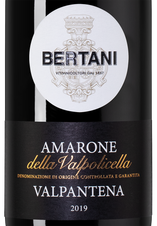 Вино Amarone della Valpolicella Valpantena, (135929), красное полусухое, 2019 г., 0.75 л, Амароне делла Вальполичелла Вальпантена цена 11490 рублей