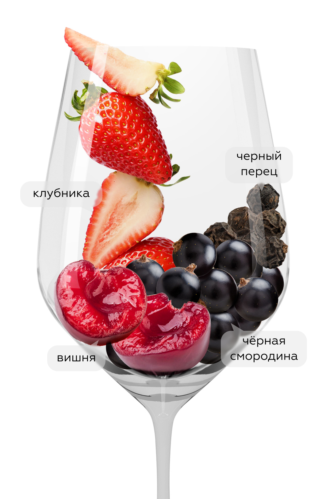 Вино Семисам Сира, Шумринка, 2019, (137554), Россия, Кубань, красное, сухое, 0.75 л, Семисам Сира, цена 1240 рублей