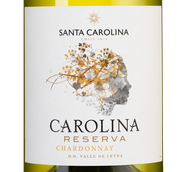 Вино Carolina Reserva Chardonnay