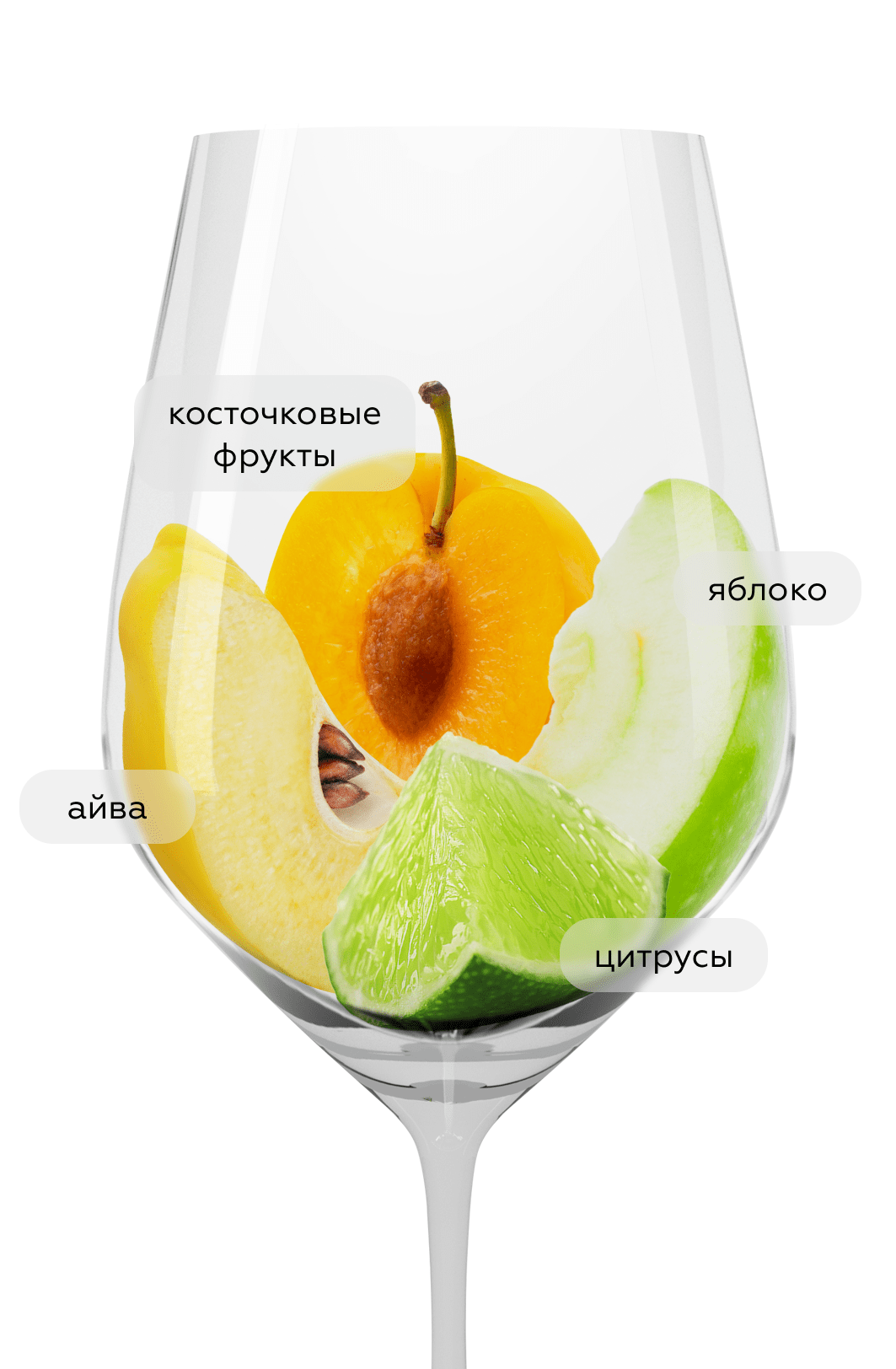 Вино Riesling Langenlois, Nastl, 2023, (152004), Австрия, Нижняя Австрия, белое, полусухое, 0.75 л, Рислинг Лангенлойс, цена 3368 рублей