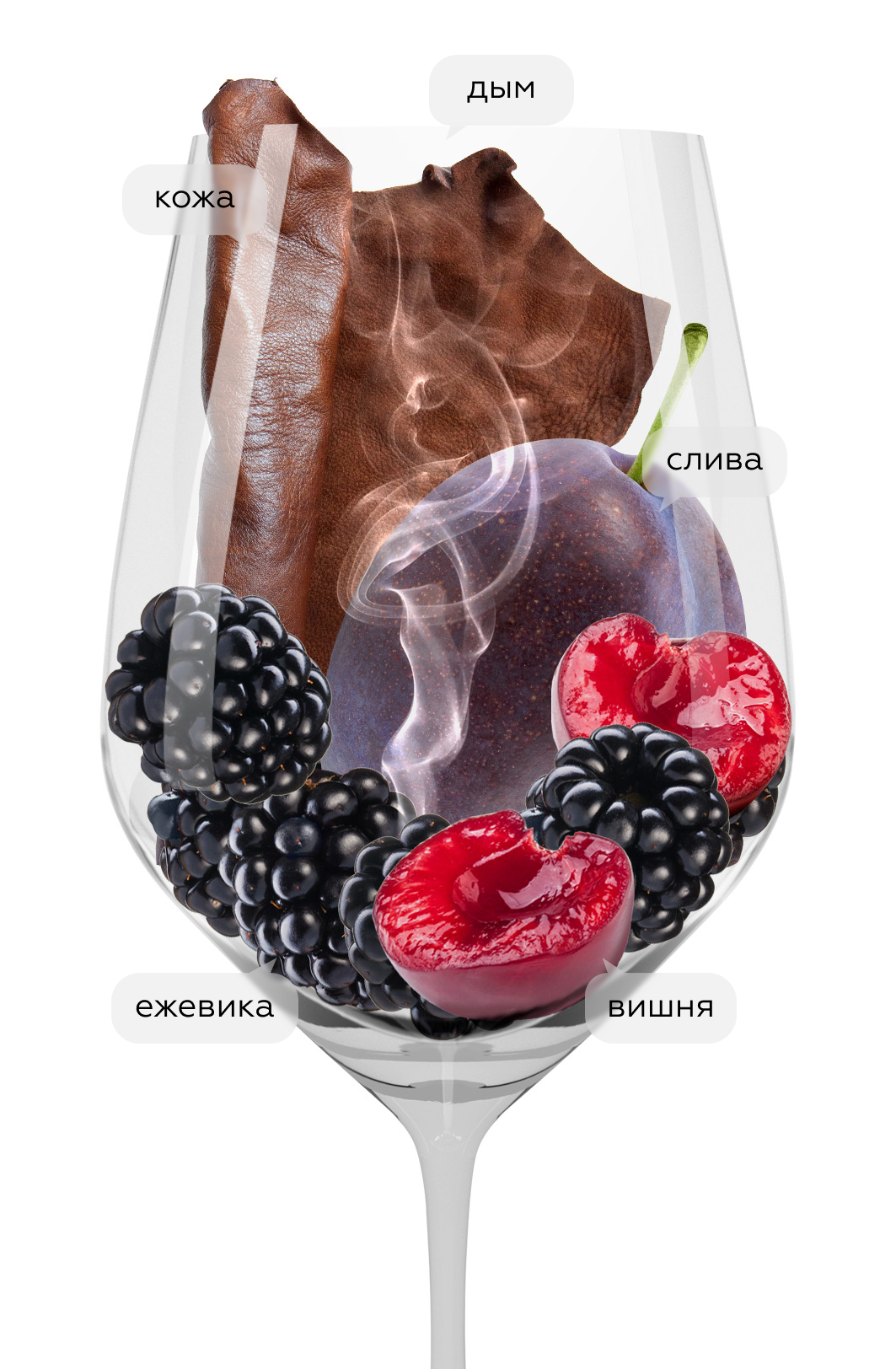 Вино Syrah Reserve, Усадьба Маркотх, 2024, (159955), Россия, Кубань, красное, сухое, 0.75 л, Сира Резерв, цена 3990 рублей