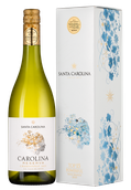 Белое вино из Аконкагуа Carolina Reserva Chardonnay в подарочной упаковке