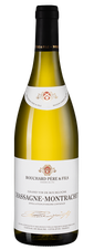 Вино Chassagne-Montrachet, (129683), белое сухое, 2019 г., 0.75 л, Шассань-Монраше цена 17490 рублей