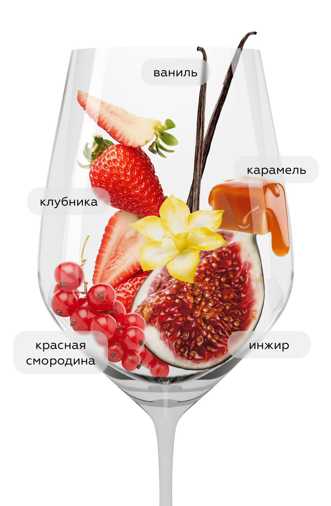 Вино 9 Lives Epic Merlot Reserve, Vina San Pedro, 2021, (141707), Чили, Центральная Долина, красное, сухое, 0.75 л, 9 Лайвс Эпик Мерло Резерв, цена 1790 рублей