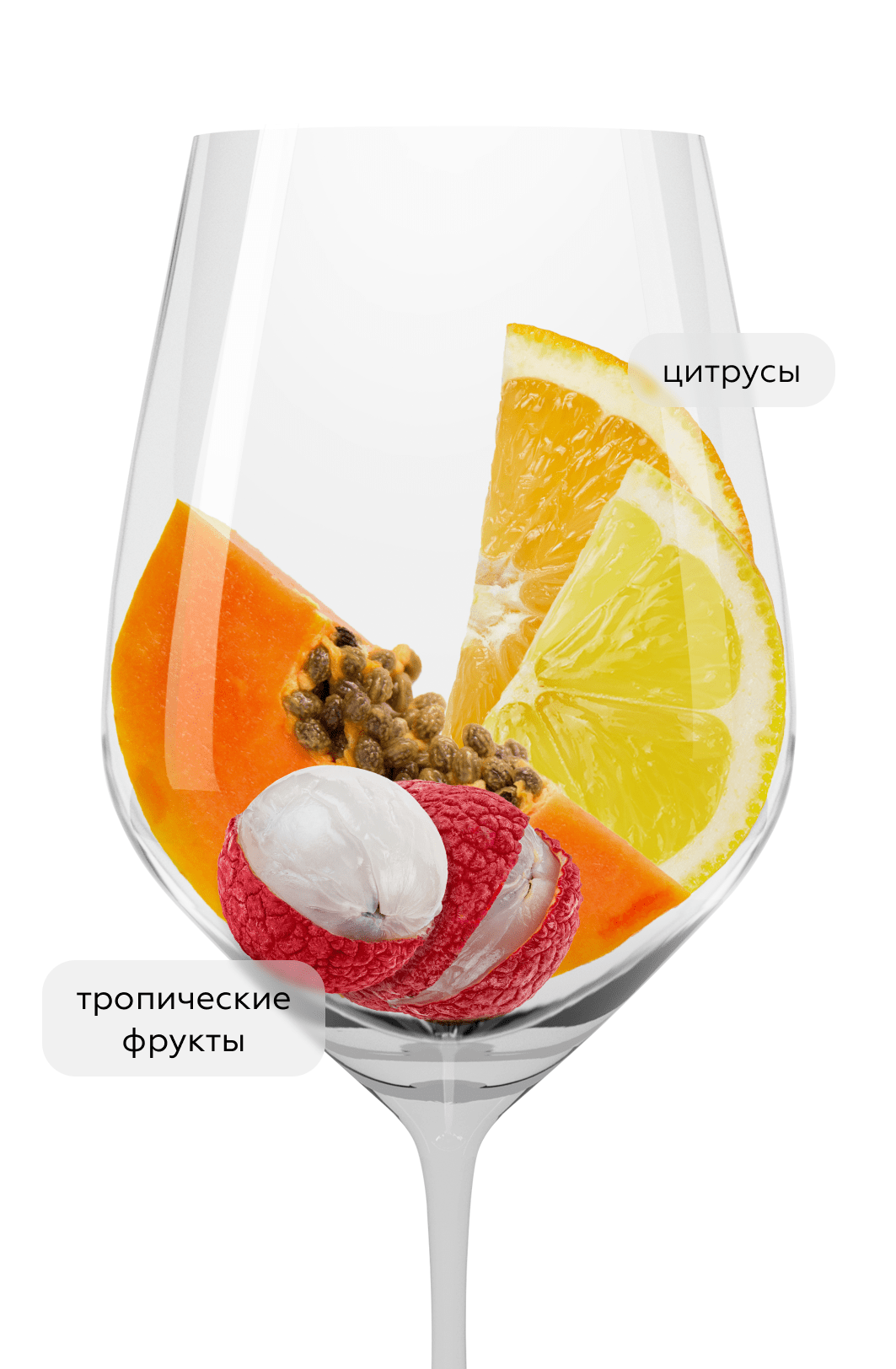 Вино Cape Original Colombard, Origin Wine Stellenbosch, 2025, (158778), Южная Африка, Вестерн Кейп, белое, сухое, 0.75 л, Кейп Ориджинал Коломбар, цена 1340 рублей