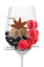 Вино Roccapalea Roero, (137389), красное сухое, 2019 г., 0.75 л, Роккапалеа Роэро цена 5990 рублей