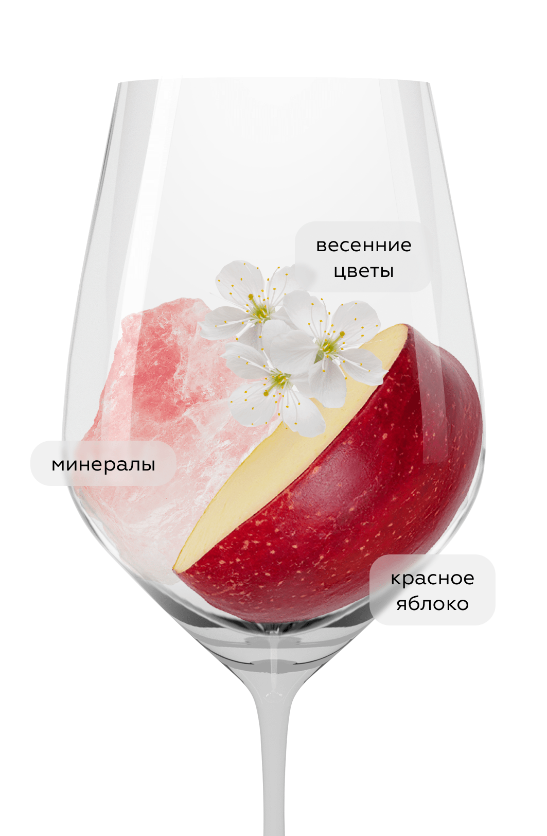 Шампанское Geoffroy Purete Brut Nature Premier Cru, (145856), Франция, Шампань, белое, экстра брют, 0.75 л, Пюрте Премье Крю Брют Натюр, цена 10118 рублей