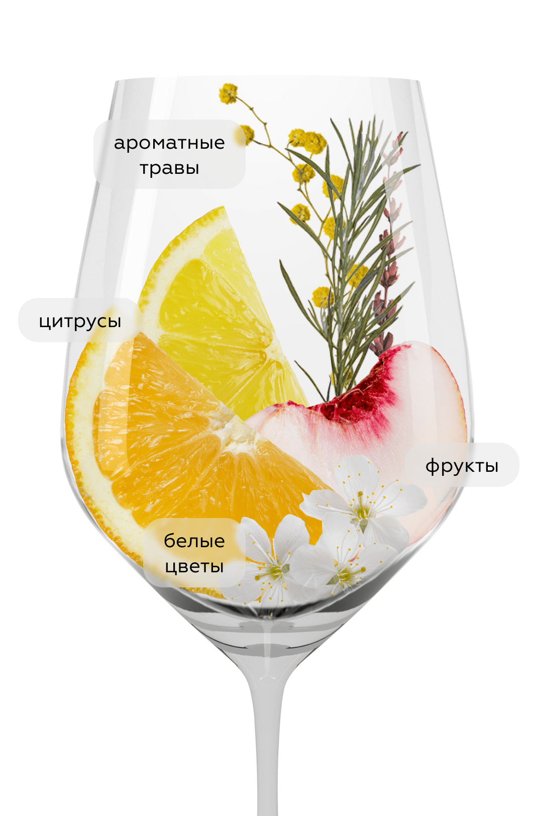 Вино Sul Vulcano Etna Bianco, Donnafugata, 2020, (138264), Италия, Сицилия, белое, сухое, 0.75 л, Суль Вулкано Этна Бьянко, цена 7990 рублей