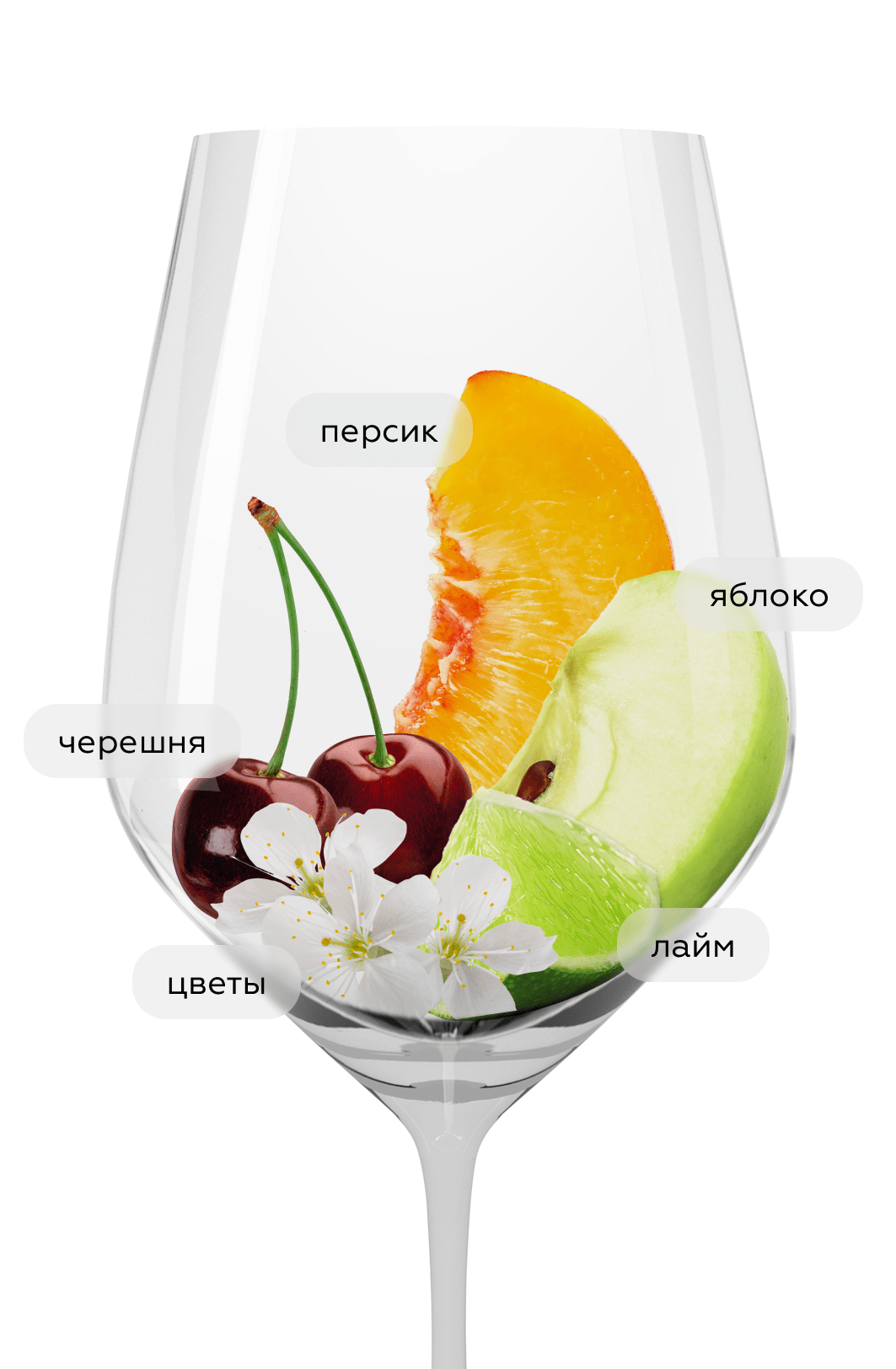 Вино Pais-Carinena Phoenix Ferment, Garage Wine, 2021, (141879), Чили, Центральная Долина, белое, сухое, 0.75 л, Паис-Кариньена Феникс Фермент, цена 4990 рублей