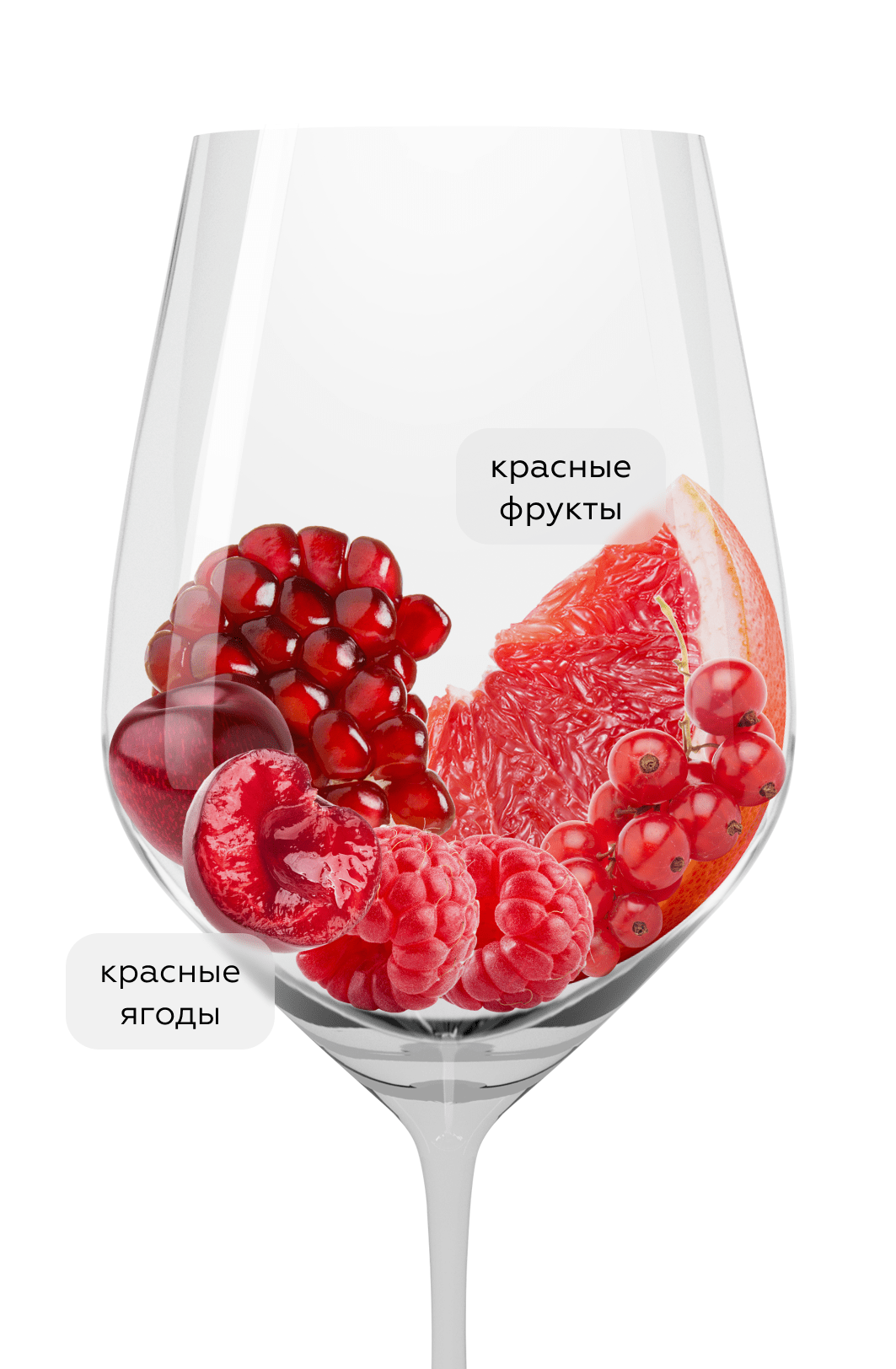 Вино Bardolino Classico, Domini Veneti, 2024, (155378), Италия, Венето, красное, полусухое, 0.75 л, Бардолино Классико, цена 2990 рублей