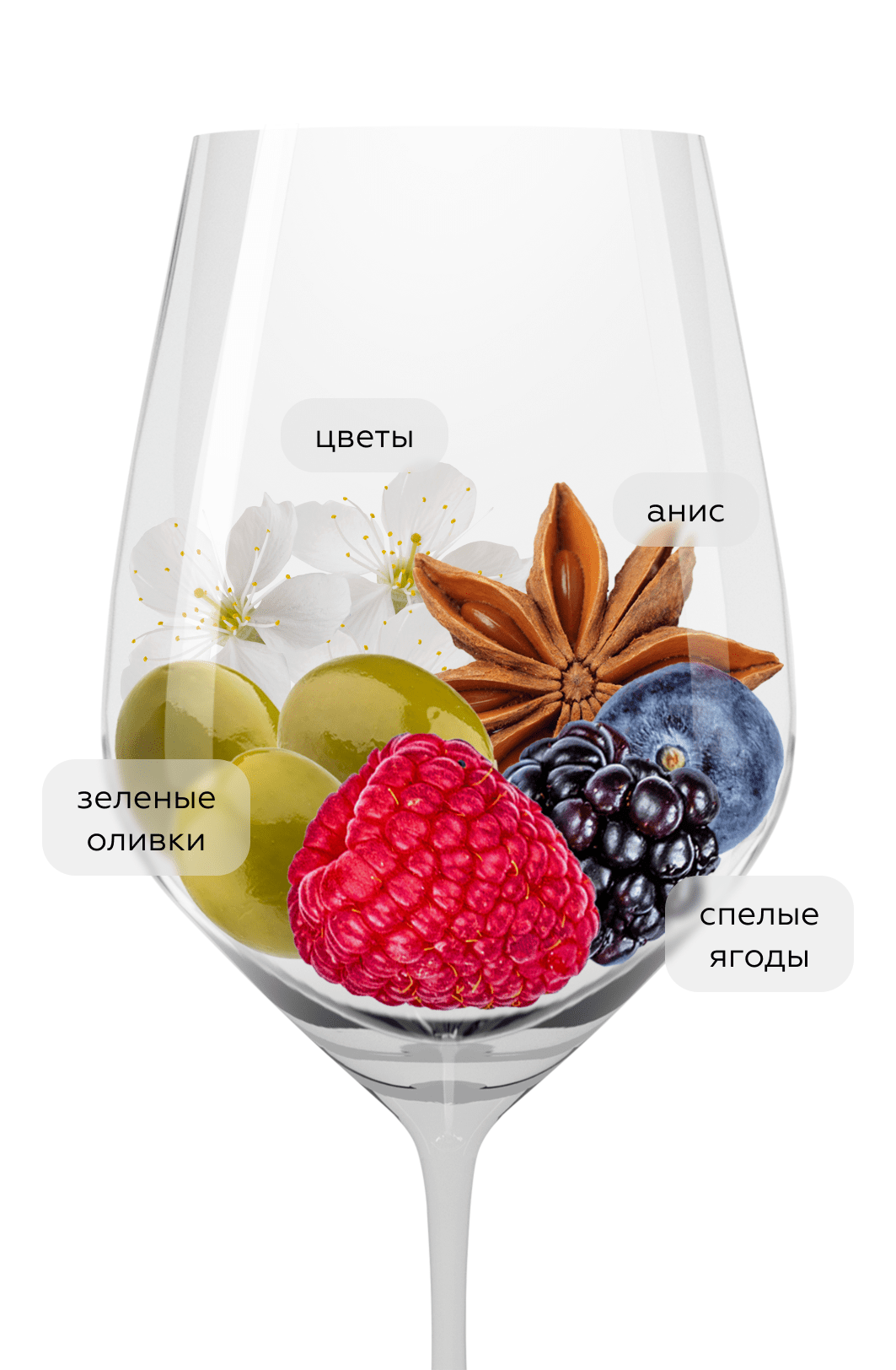 Вино Montessu, Agricola Punica, 2023, (158572), Италия, Сардиния, красное, сухое, 0.75 л, Монтессу, цена 5490 рублей