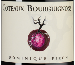 Вино Coteaux Bourguignons Rouge, (124173), красное сухое, 2018, 0.75 л, Кото Бургиньон Руж цена 2140 рублей