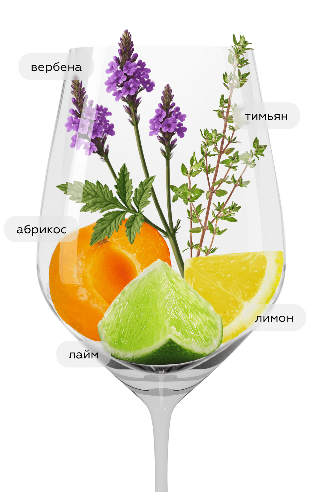 Вино Macon-Solutre-Pouilly, Maison Auvigue, 2022, (146776), Франция, Бургундия, белое, сухое, 0.75 л, Макон-Солютре-Пуйи, цена 7490 рублей