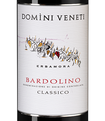 Вино Bardolino Classico , Domini Veneti, 2021, (138214), Италия, Венето, красное, полусухое, 0.75 л, Бардолино Классико, цена 2990 рублей
