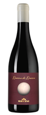 Вино Riecine, (137530), красное сухое, 2019 г., 0.75 л, Риечине цена 13990 рублей