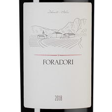 Вино Foradori, (136756), красное сухое, 2018 г., 0.75 л, Форадори цена 4990 рублей