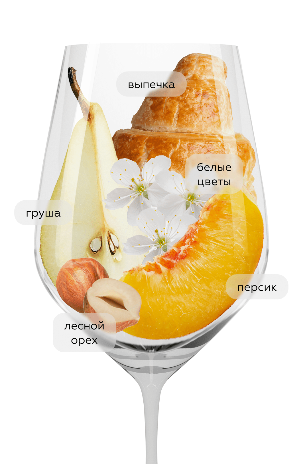 Вино Macon-Villages, Maison Auvigue, 2022, (146773), Франция, Бургундия, белое, сухое, 0.75 л, Макон-Вилляж, цена 6690 рублей