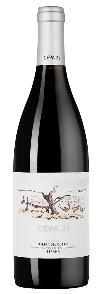 Вино Cepa 21, Bodegas Cepa 21, 2020, (143415), Испания, Кастилия и Леон, красное, сухое, 0.75 л, Рибера дель Дуэро Сепа 21, цена 6690 рублей