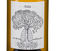 Вино мюскаде (мелон де бургонь) Долина Луары Gaia