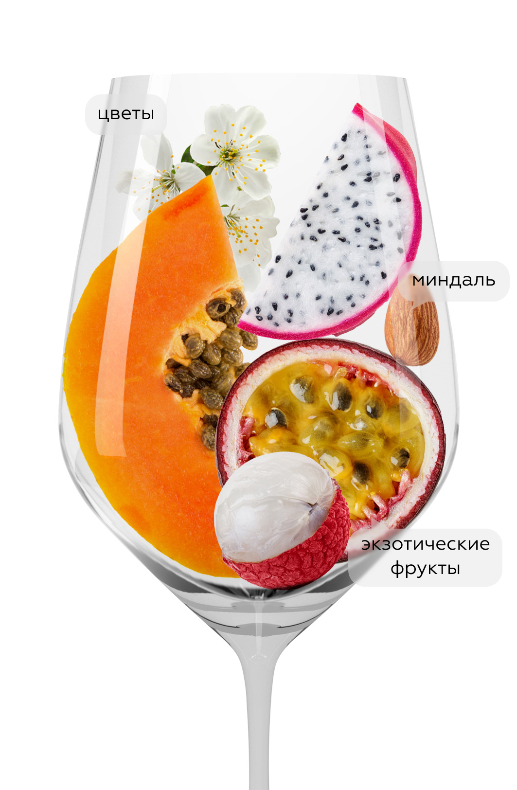 Вино Vermentino di Toscana, Fattoria del Cerro, 2024, (158114), Италия, Тоскана, белое, сухое, 0.75 л, Верментино ди Тоскана, цена 3390 рублей