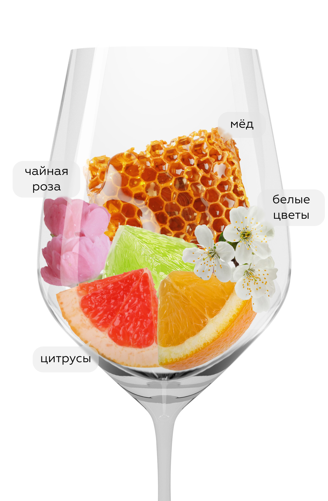 Вино Gran Feudo Moscatel, Bodegas Chivite, 2019, (122459), Испания, Наварра, белое, сухое, 0.75 л, Гран Феудо Москатель, цена 1718 рублей